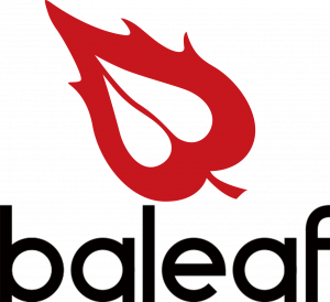 Baleaf Sports Coupons & Promo Codes