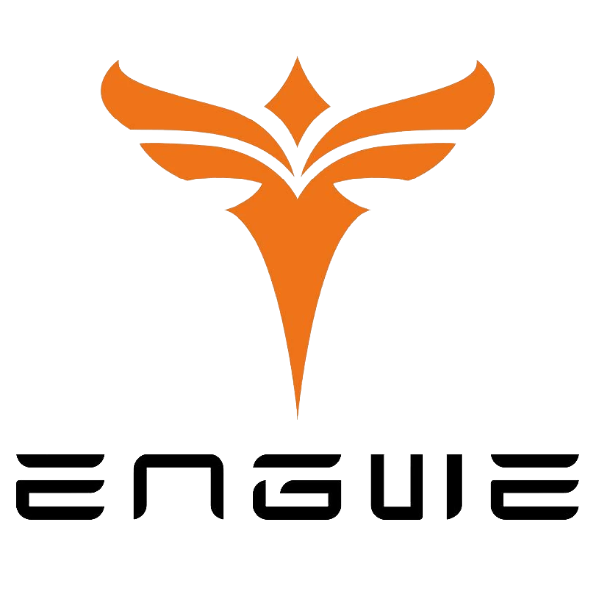 Engwe USA Official Coupons & Promo Codes